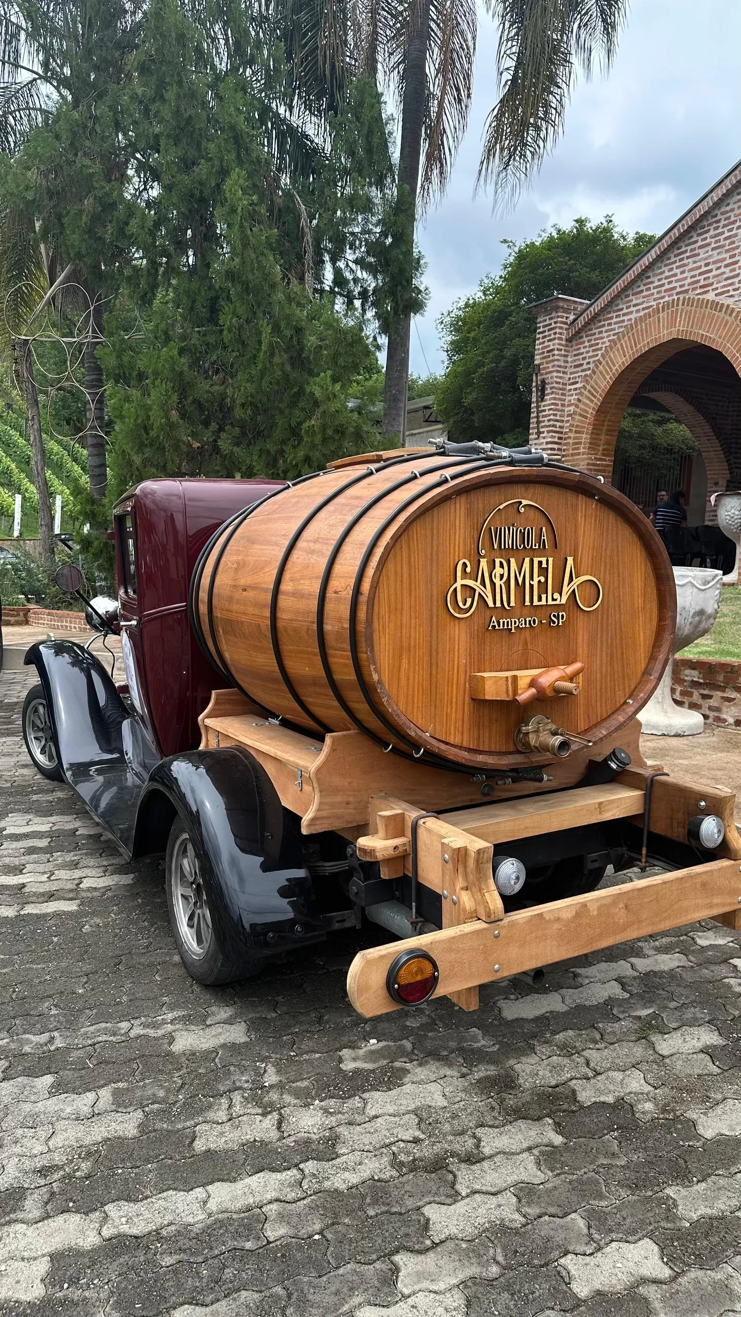 Vinícola Carmela em Amparo